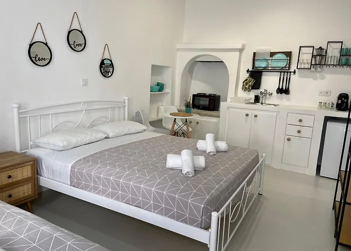 公寓 Elenita's Flat Mykonos Town